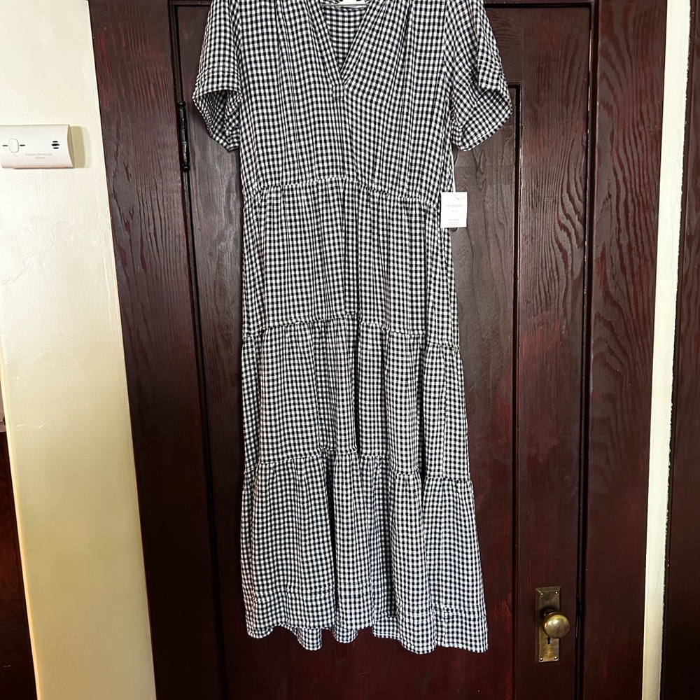 Classic Blue and White Gingham Dress